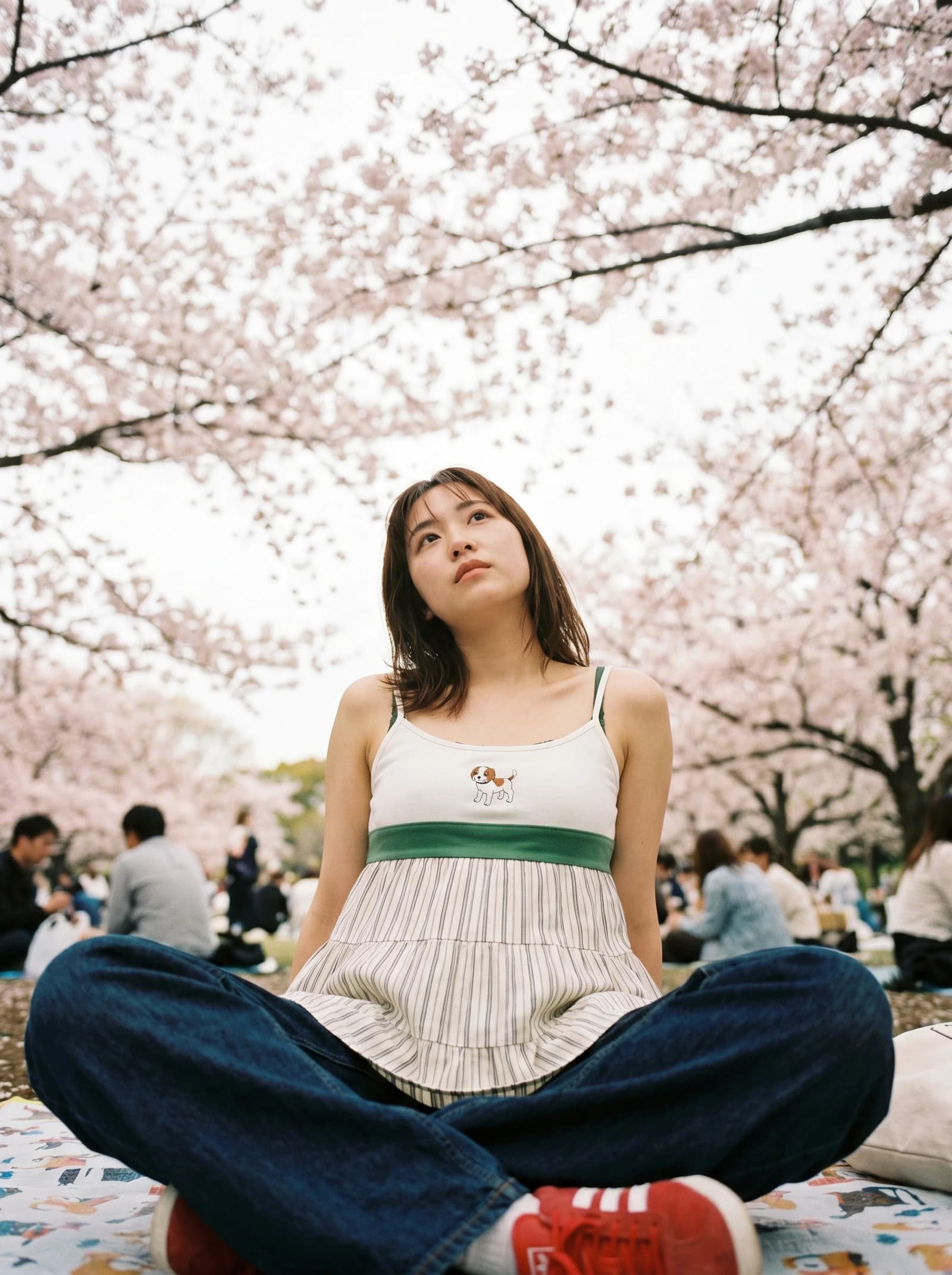 Under the Sakura Arch